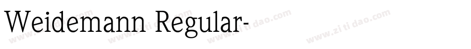 Weidemann Regular字体转换